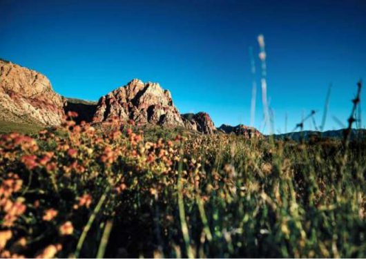 Red Rock Canyon